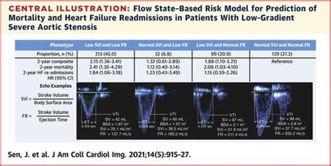 lvot stroke volume chart.